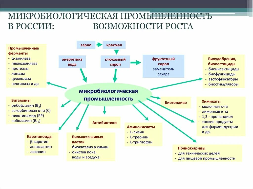 Микроорганизмы используемые в биотехнологии. Схема микробиологического контроля пищевого производства. Общая схема биотехнологического производства. Важнейшие производства микробиологической промышленности. Биотехнология производство.