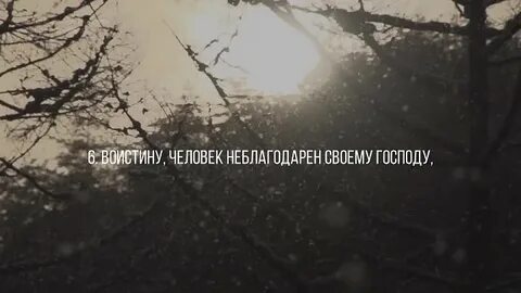 День прошел поистине душевно