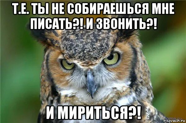 Прости что не звонил. Не дуйся давай мириться. Ты собираешься мириться. Хватит обижаться давай мириться. Давай мириться картинки.