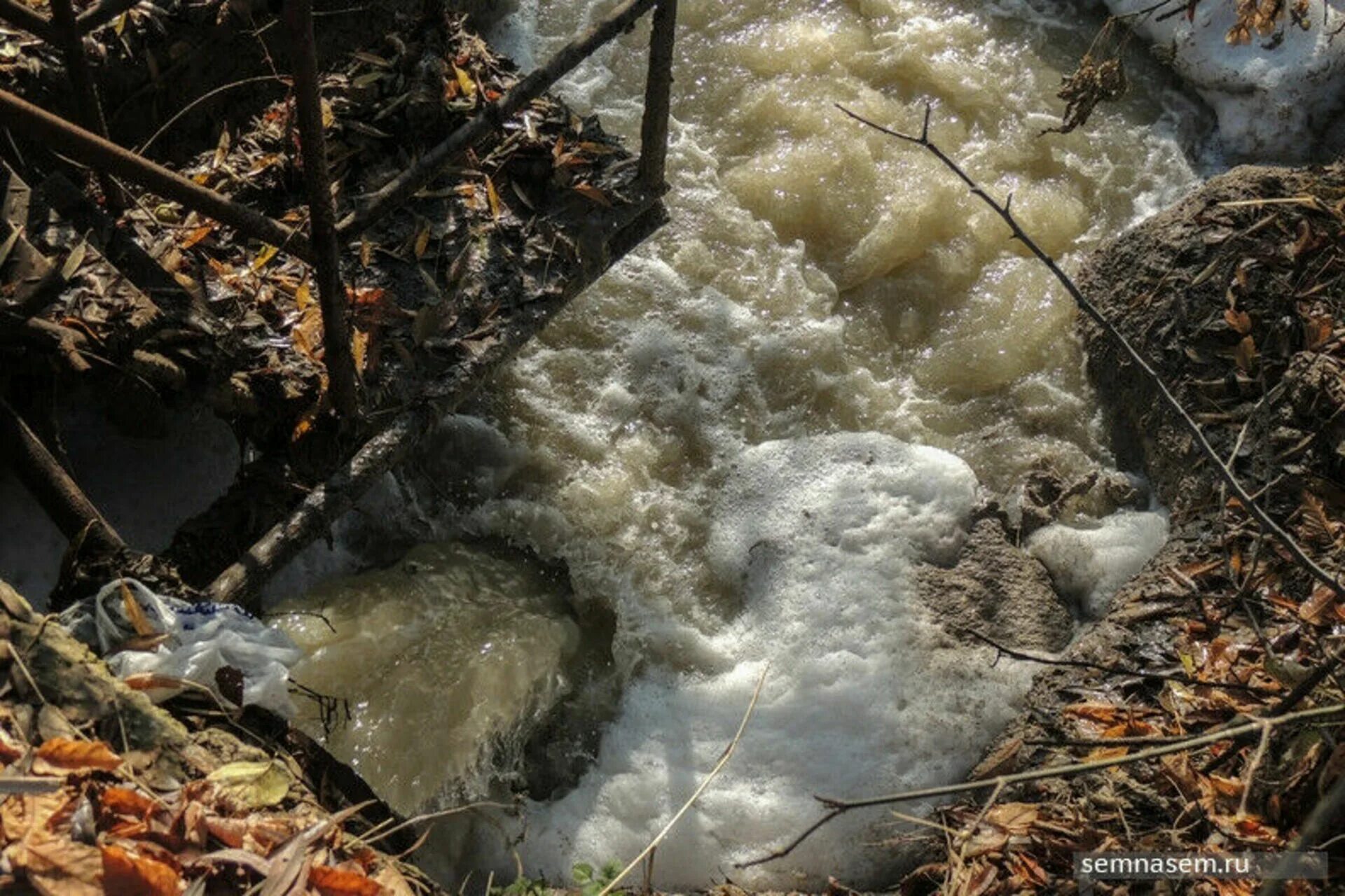 Вода в реке сура. Загрязнение реки Сура Пенза. Загрязнение рек. Загрязненные фенолом реки. Сура река загрязнение реки.