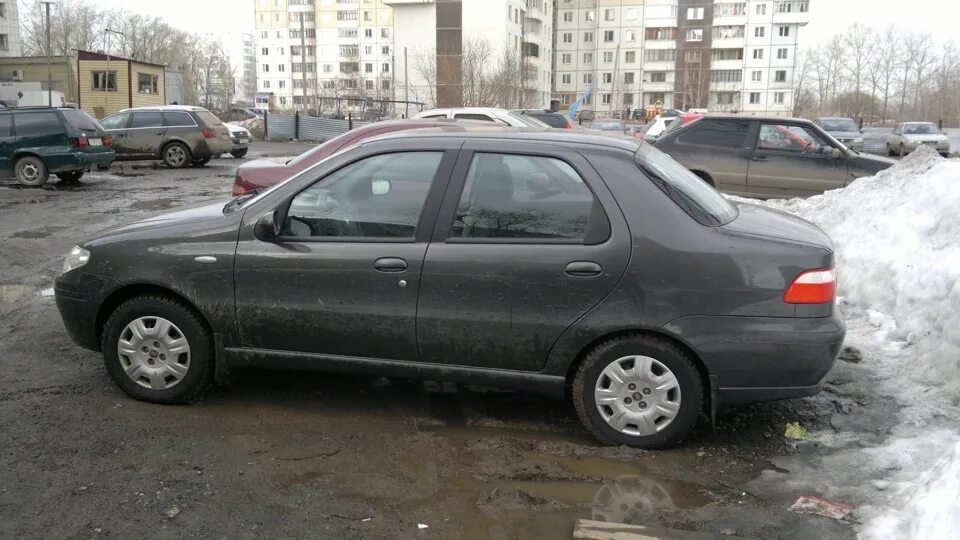 Машина fiat albea серая. Шевроле вива 2006. Фиат альбеа 2008г. Зеленый фиат. Fiat albea седан серый.