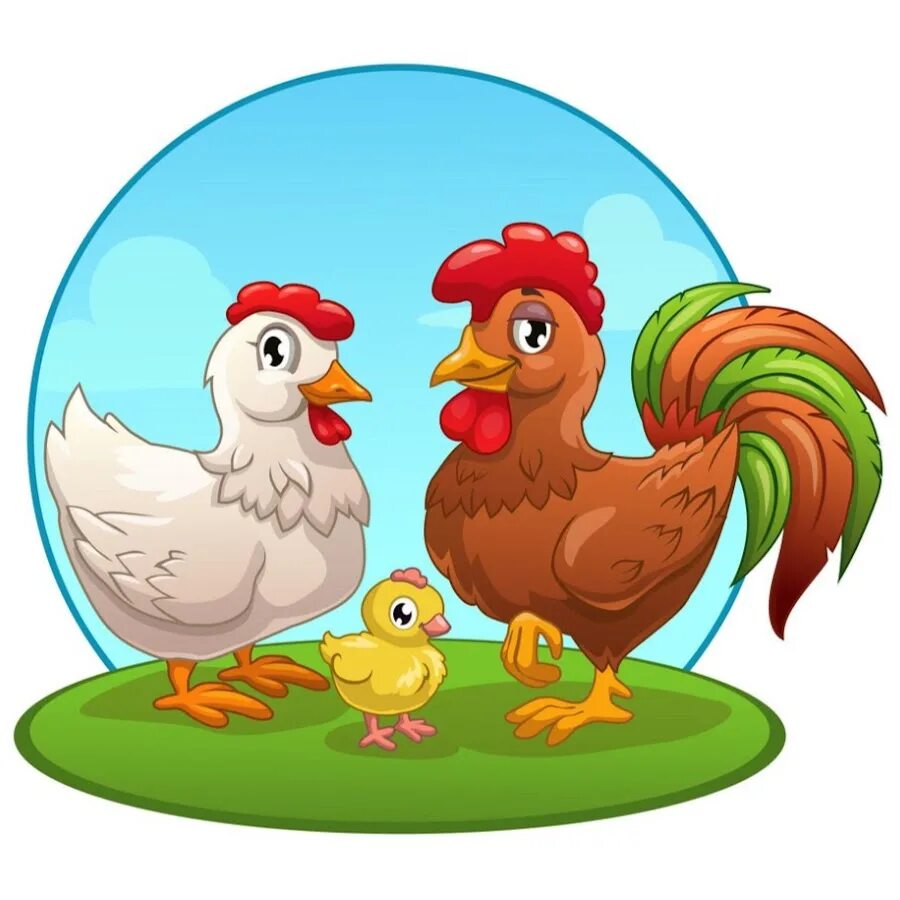 Курица с цыплятами для детей. Петух Курочка и цыплята. Семья петух курица цыпленок. Курочка с цыплятами мультяшная.