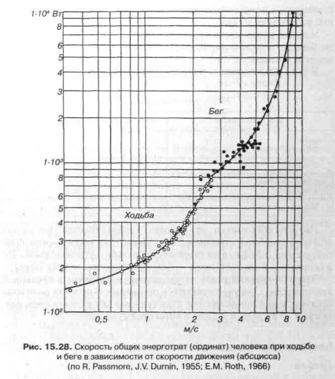 Нормальная скорость ходьбы. Зависимость энергозатрат от скорости бега. Скорость человека при беге. Скорость движения человека при ходьбе. Скорость бега игра