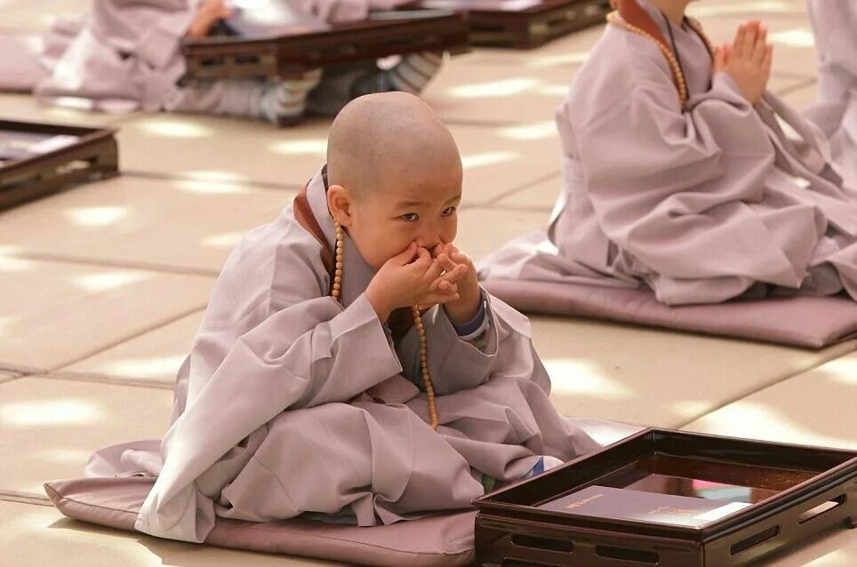 Жизнь учителя дзен. Будда монах. Дети буддисты. Маленький буддист. Буддизм для детей.