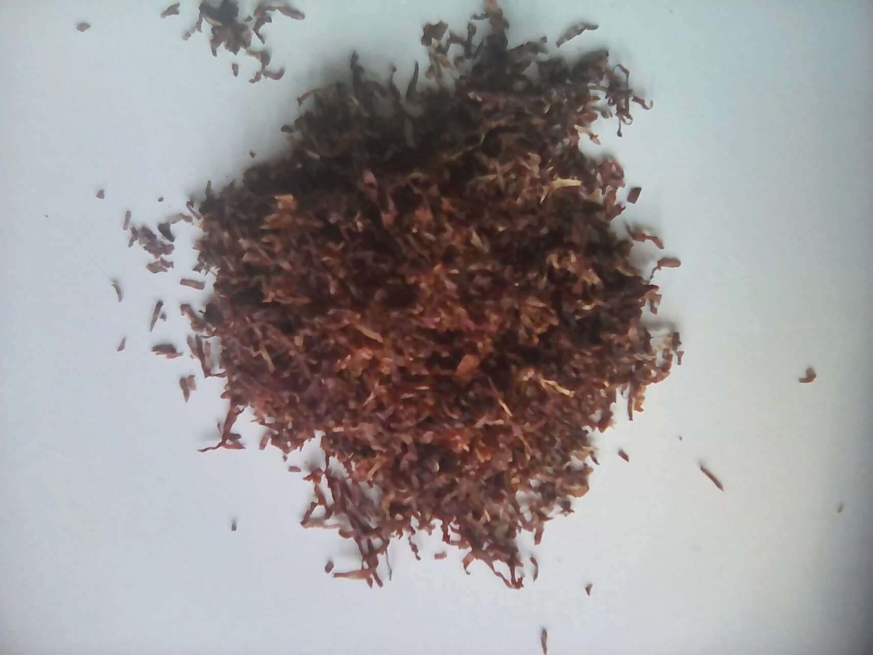 Можно ли табачной пылью. Табачная пыль plant t. настой из табачной пыли. золпродукт табачная пыль. табачная пыль против насекомых.