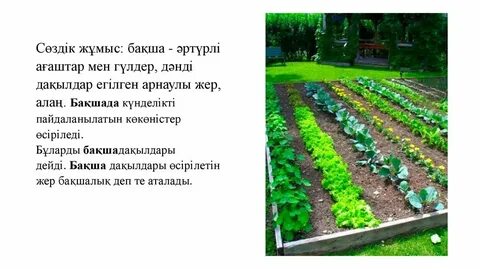 Үлкен мүшесі трахается в жопу