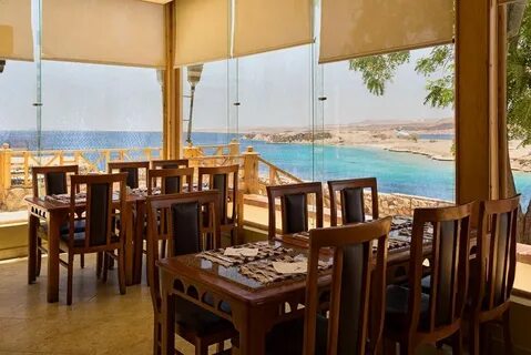 Beach albatros sharm 4 отзывы