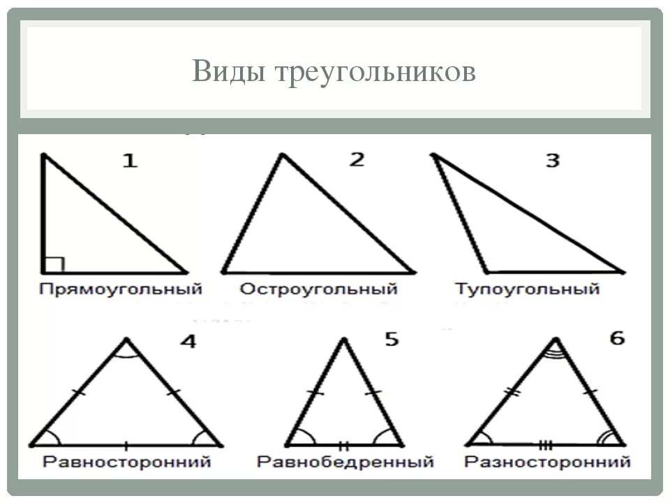 Виды треугольников. Выдв треугольников. Все видытруегольников. Виды теругол.