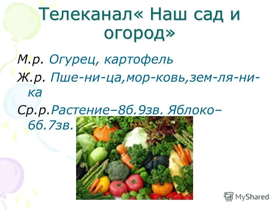 Картофель мужской род. Слова на тему огород мужского рода. Существительные среднего рода на тему огород. Слова на тему огород. Слова на тему огород среднего рода.