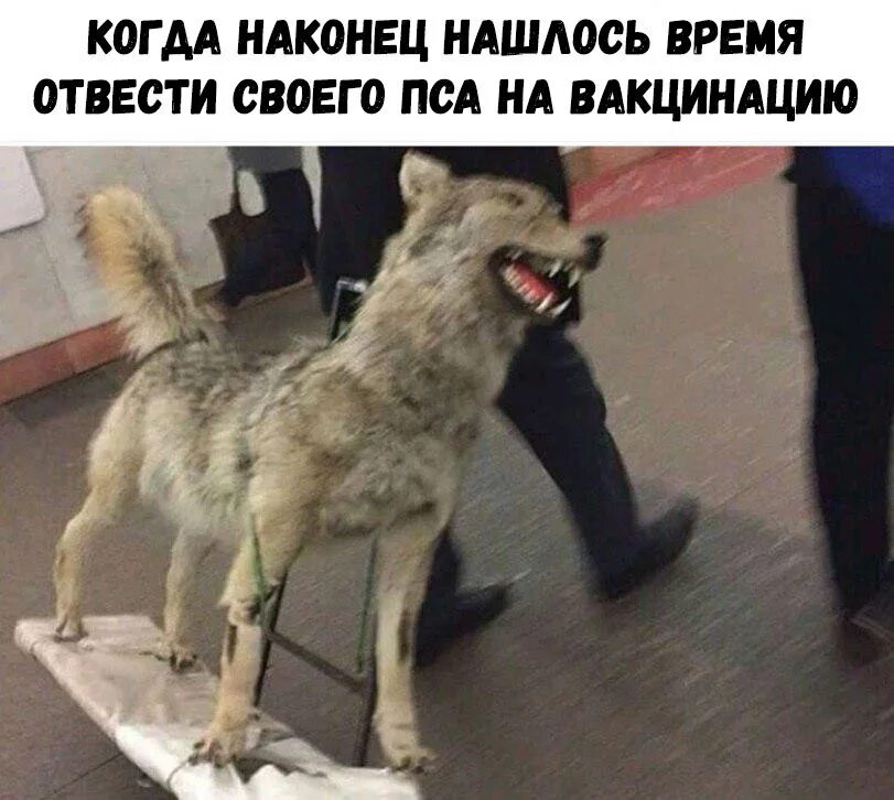 Счастье это. Ура свершилось. Я нашла свое счастье. На конец я тебя нашла. Счастье это когда.