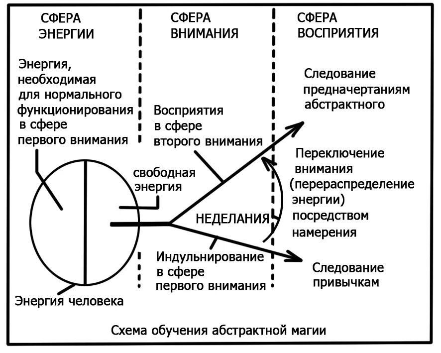 сфера восприятия. индивидуальные различия в восприятии кратко. сферы восприятия человека. познавательная сфера личности восприятие. познавательная сфера: память , внимание, мышление:.
