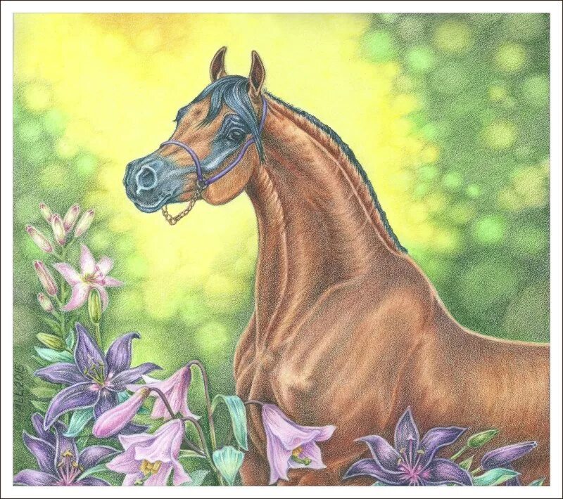 Лошадь рисунок цветной. Лошадь карандашом. Лошадь рисунок цветной. Лошадь рисунок. Лошадь гуашью.