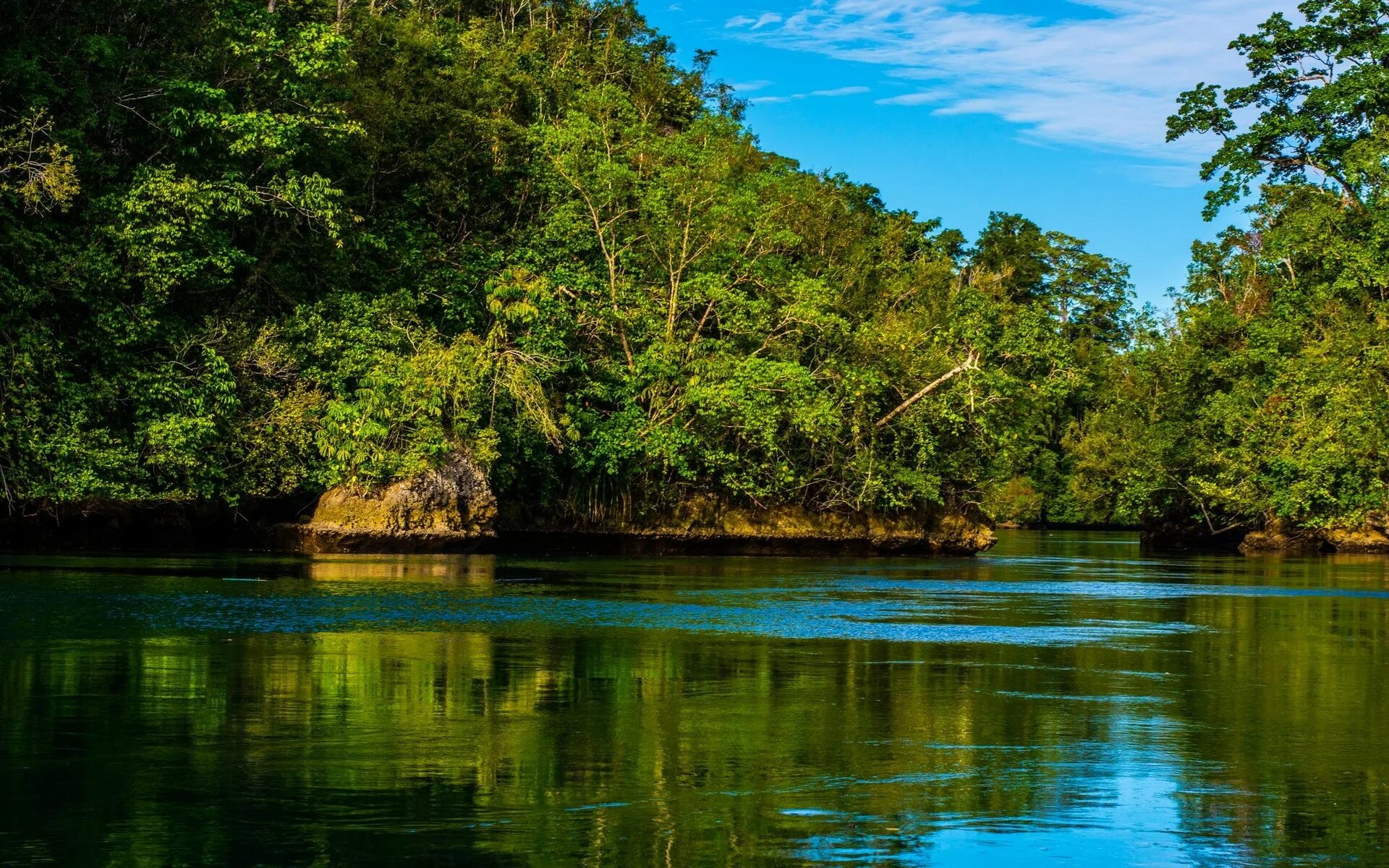 Jungle river
