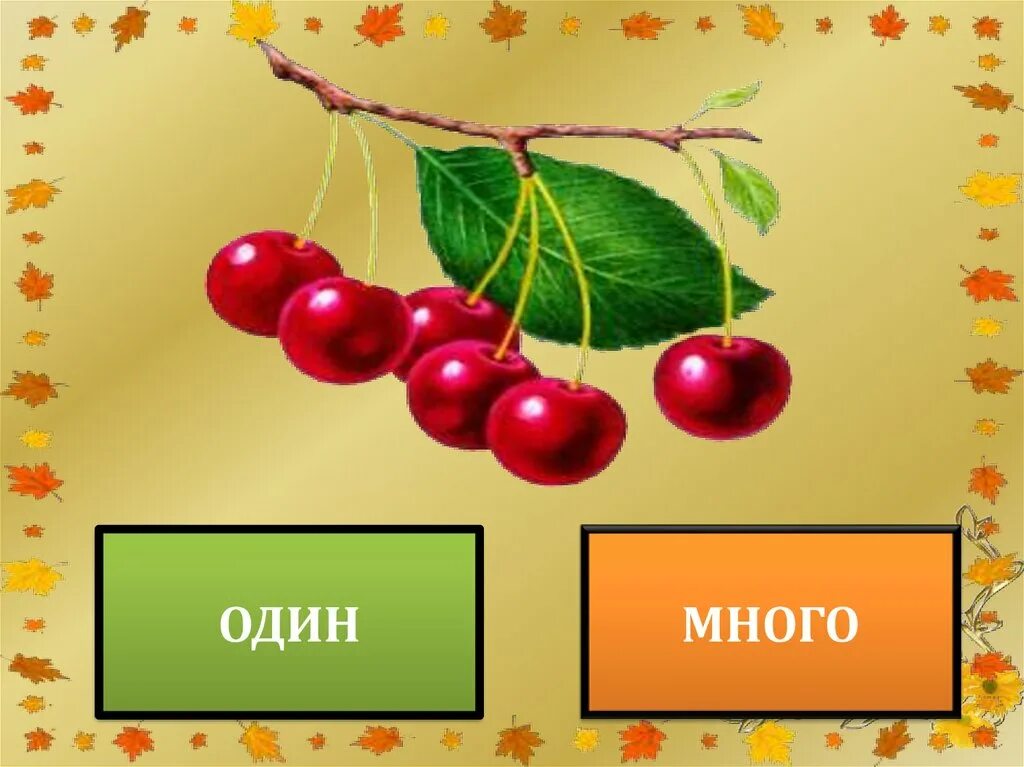 конспект на тему один много. один - много. картинки задания один много. транспорт один много картинки для детей. игра один много.