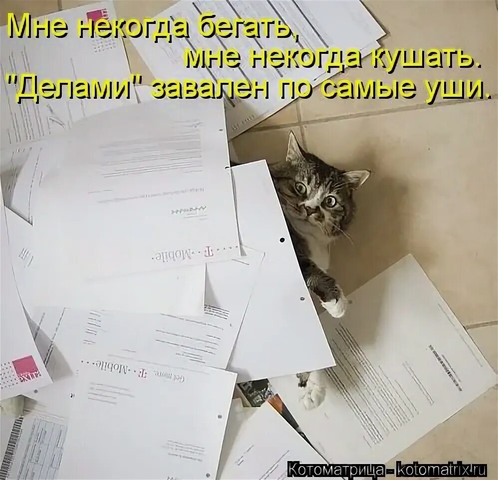 человек с кучей бумаг. мне некогда. зарылся в бумагах. завал на работе прикол. торчит из сугроба.