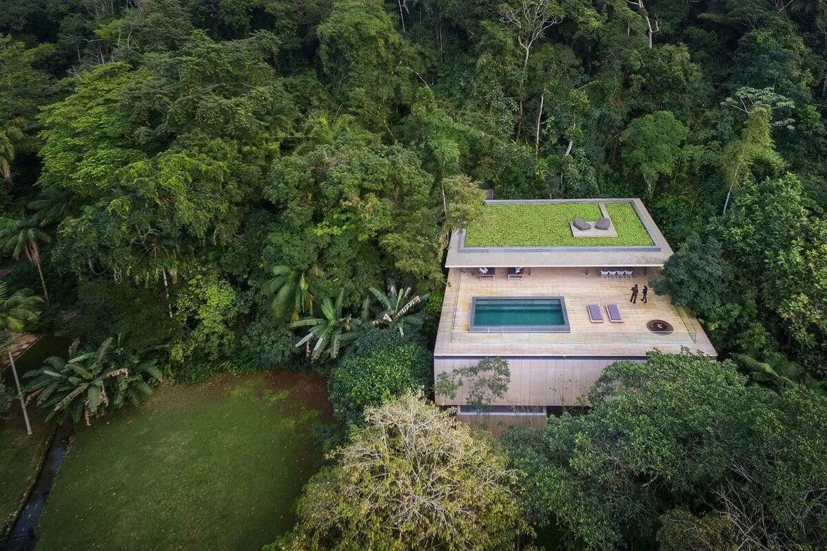 Озеро в тропическом лесу. Джунгли ацтеки. Полянка в джунглях. Темные джунгли. Джунгли фэнтези ацтеки.