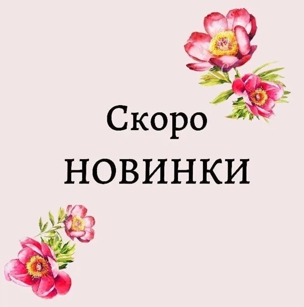 Поступление нового товара. Ожидаем поступление нового товара. Скоро поступление товара. Скоро новое поступление. Ожидается поступление нового товара.