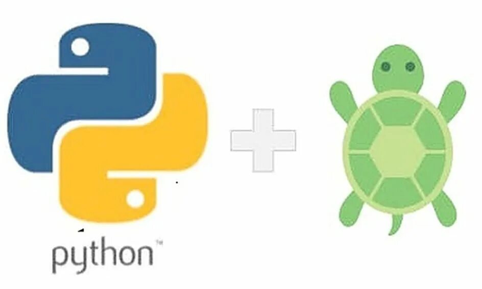 Черепашка Пайтон. Черепаха Python. Модуль Turtle Python. Питон черепаха команды.