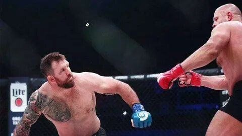 Бой реванш емельяненко