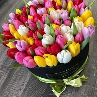 Какие цветов тюльпаны