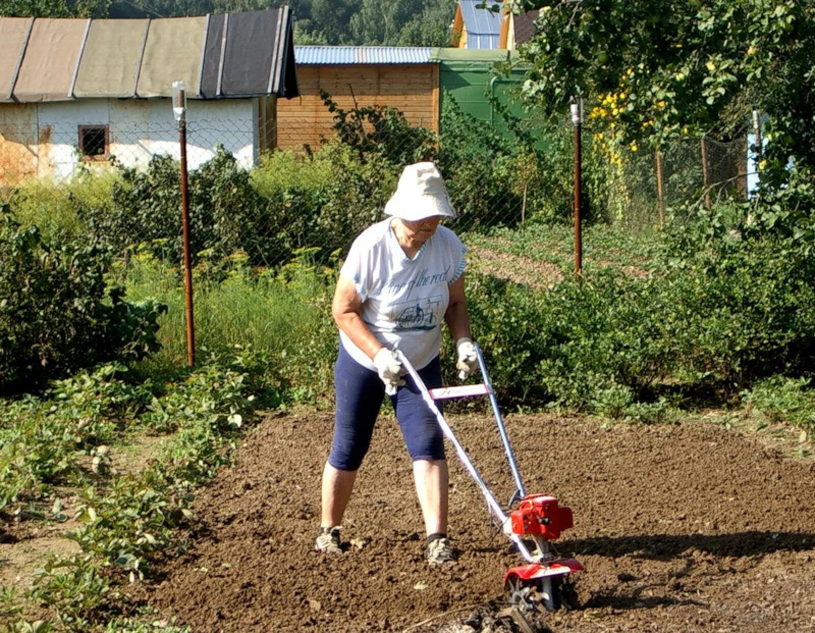 6 месяцев даче. Работа на даче. Дачник на огороде. Пахать на даче. Пахать огород.