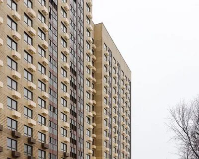 Бул кавказский