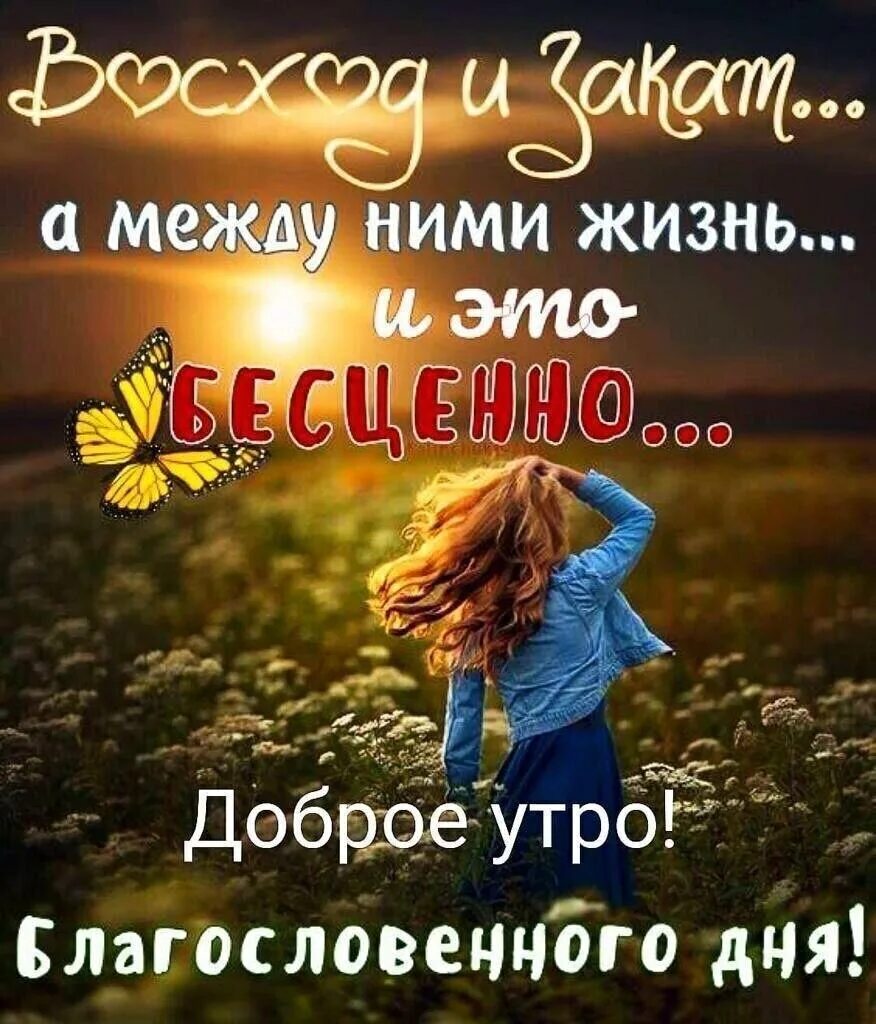Быть добру новое