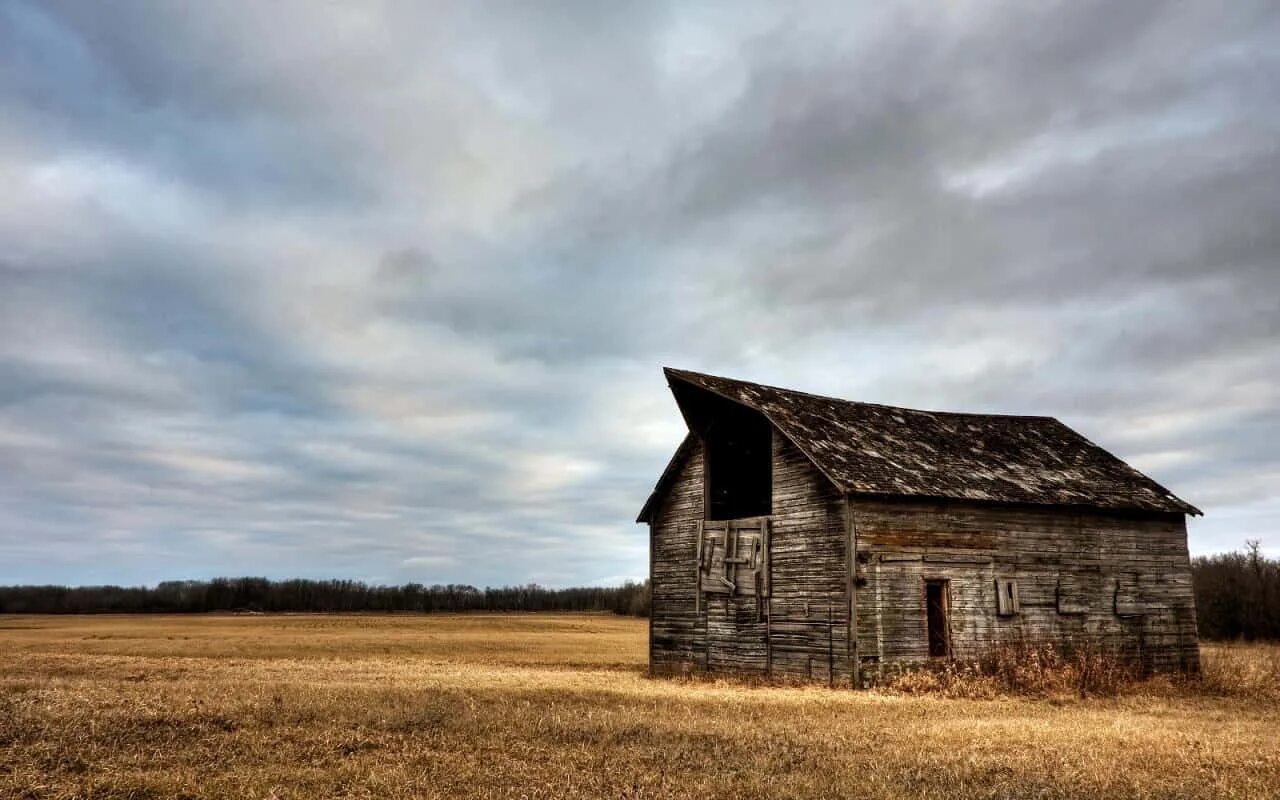 Old field