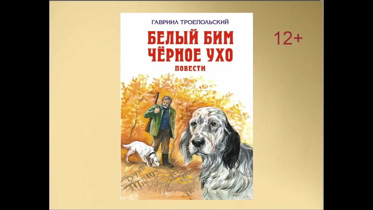 Бим черное ухо слушать. Белый бим черное ухо иллюстрации. рисунок к фильму белый бим черное ухо.
