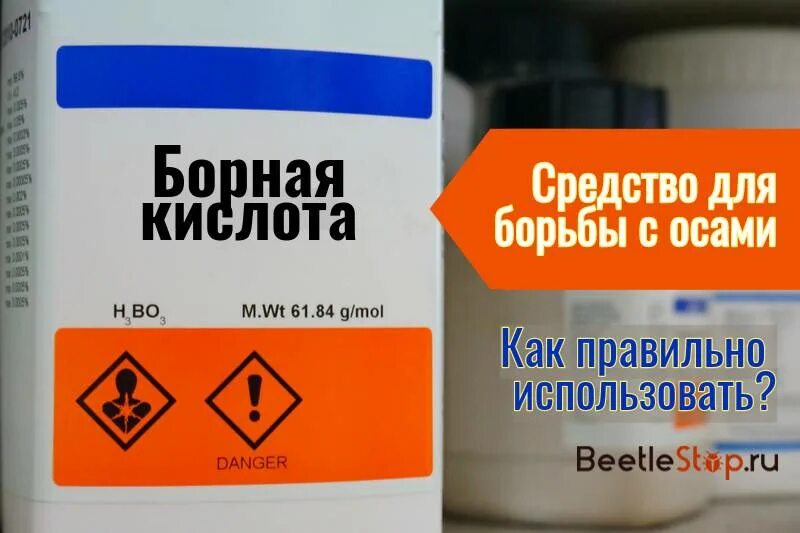 Борная кислота от муравьев как использовать. Борная кислота от ос. борная кислота от клопов. препараты для борьбы с осами. приманка для муравьев с борной кислотой.