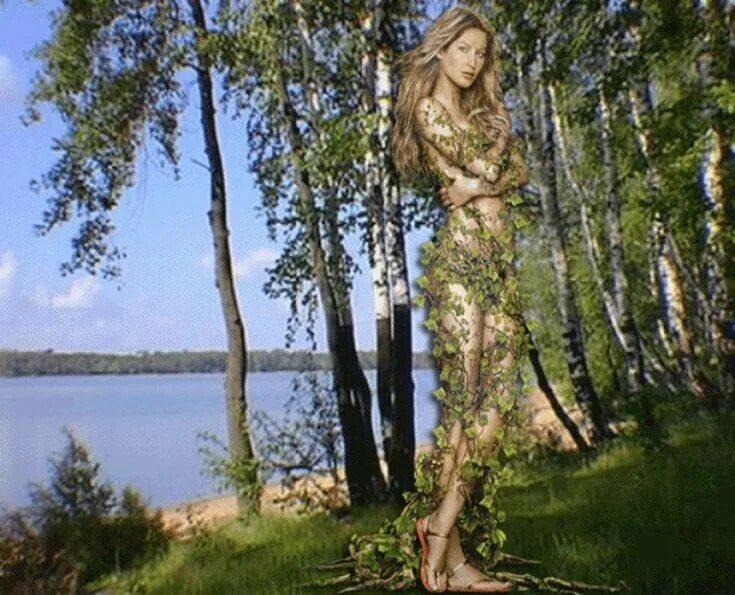 Песня кудрявый клен в белую березу был. Девушка у березы. фотосессия в березах. белая береза и кудрявый клен. девушка березка.