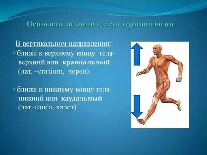 Общая терминология это