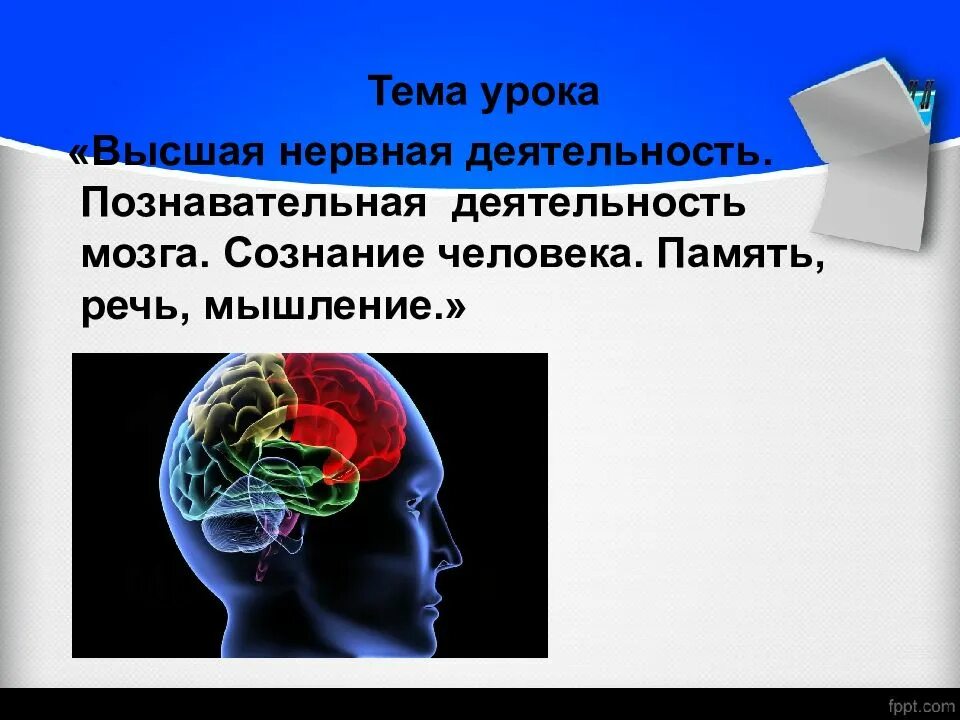 Высший процесс познавательной деятельности человека