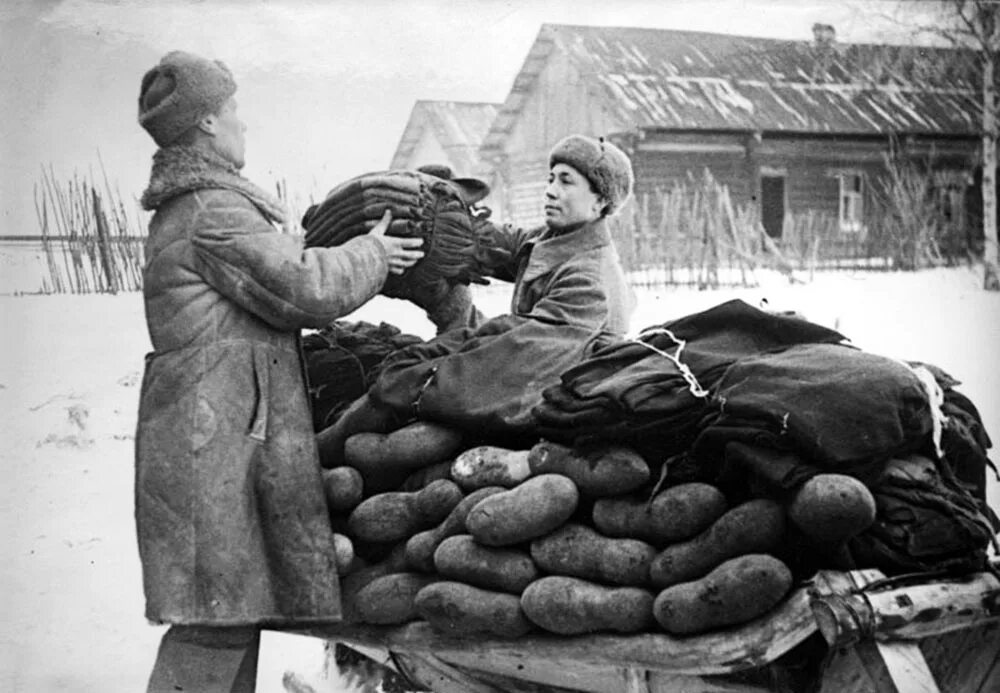 История во время великой отечественной войны. Валенки РККА 1941. Югра в годы Великой Отечественной войны 1941-1945 пушнина. Солдаты в валенках 1941-1945. Валенки солдатские ВОВ.