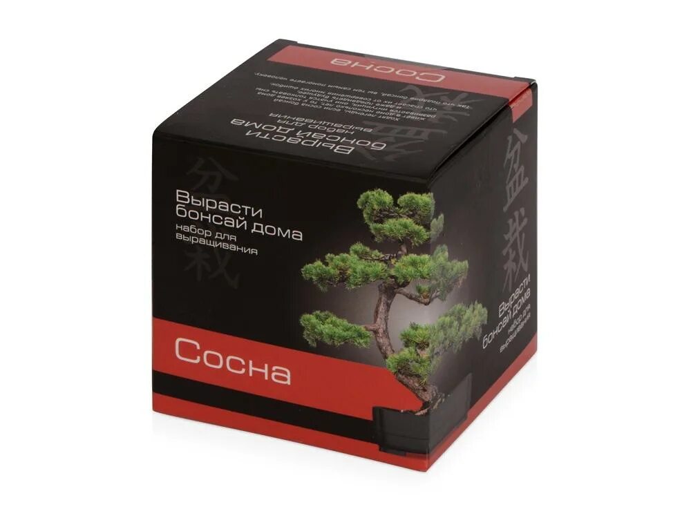 Вырасти бонсай набор. Подарочный набор для выращивания "вырасти бонсай дома. Вырасти бонсай набор. Вырастить бонсай дома подарочный набор. Подарочный набор банзай.