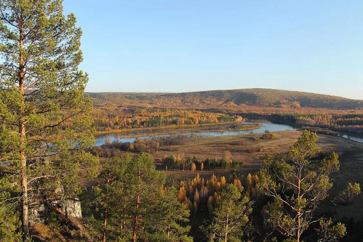 Туколонь заказник в Иркутской области. Лес казасинсколенского района. Лес Иркутский район. Туколонь.