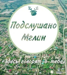 Погода на 10 дней мглин брянской точный