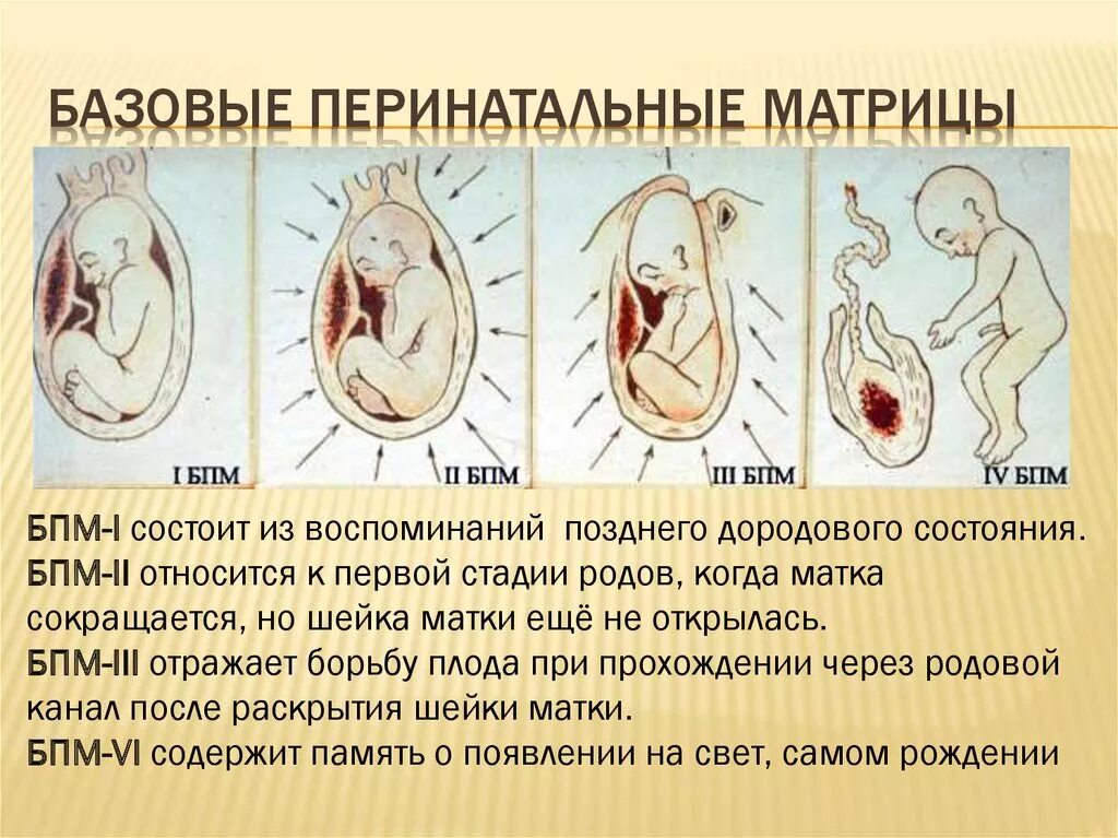 Четверо родов. Перинатальная матрица Грофа таблица. Базовые перинатальные матрицы Грофа. Четыре перинатальные матрицы Грофа. Теория Грофа о перинатальных матрицах.