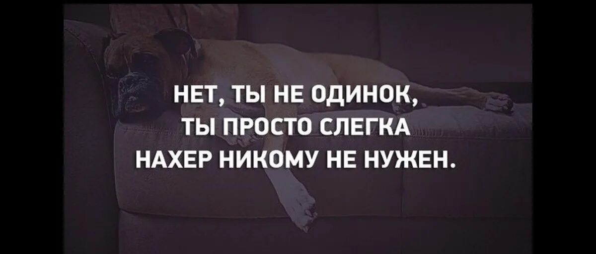 Без вас бы не было написано ни