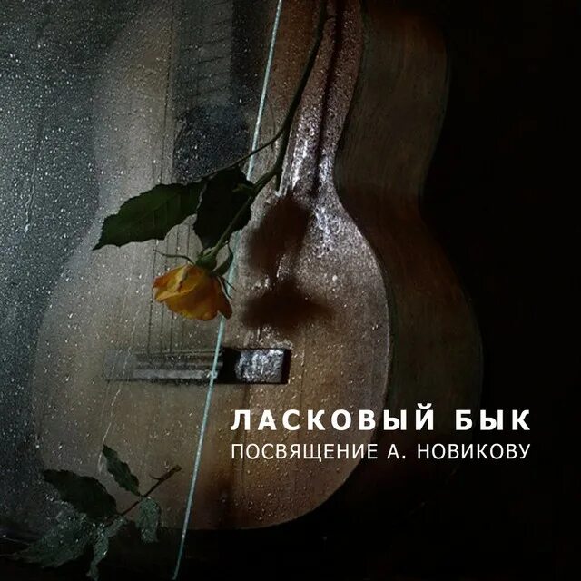 Ласковый бык. Ласковый бык концерт. Ласковый бык обложка. Альбом песен посвященный крокусу