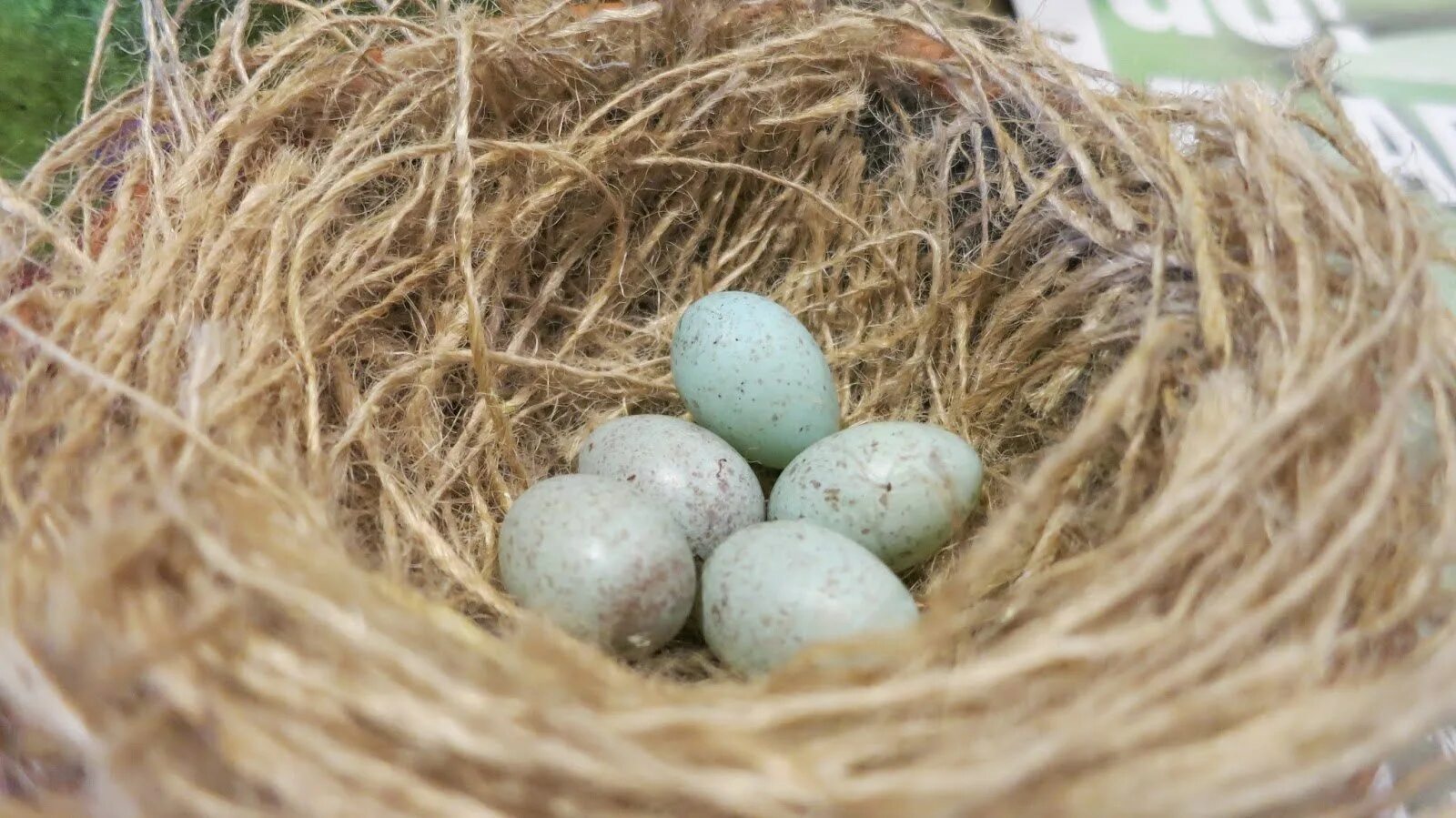 Open nest