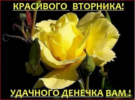 Доброго солнечного вторника
