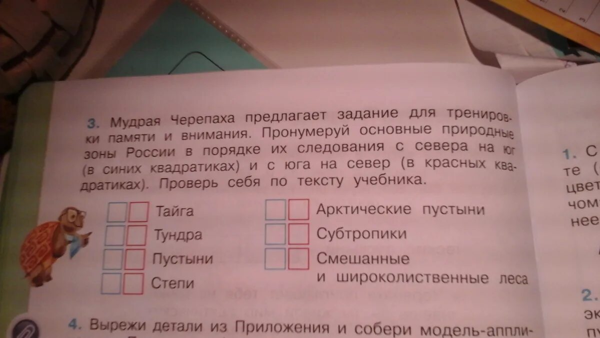 Мудрая черепаха подобрала пословицы. Мудрая черепаха предлагает тебе задание для тренировки памяти. Мудрая черепаха предлагает задание. Мудрая черепаха предлагает задание для тренировки. Мудрая черепаха предлагает задание для тренировки памяти и внимания.