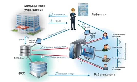 Эдо больничные листы