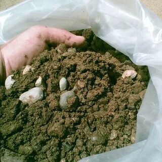 Пгс ижевск