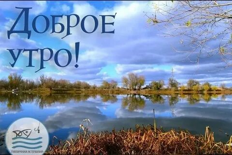 Доброе утро для рыбака прикольные картинки
