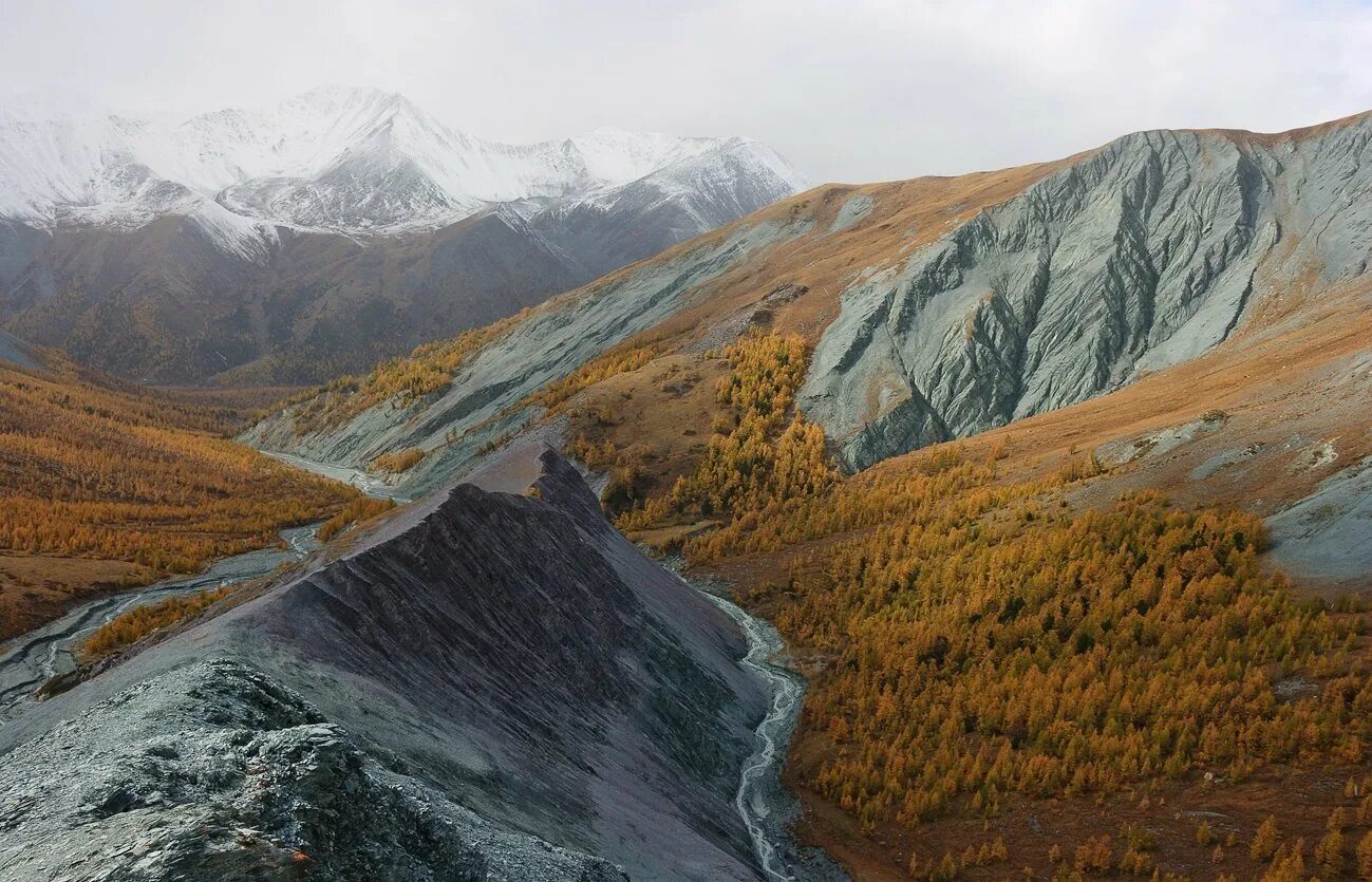 Золотые горы алтая где находится. Золотые горы Алтая Алтайские горы. Золотые горы Алтая всемирное наследие ЮНЕСКО. ООПТ золотые горы Алтая. Долина Ярлу горный Алтай.