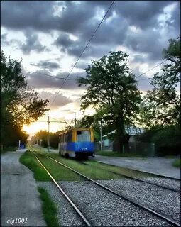 Линия таганрог