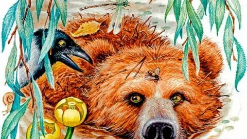 Дремучий медведь читательский дневник 4