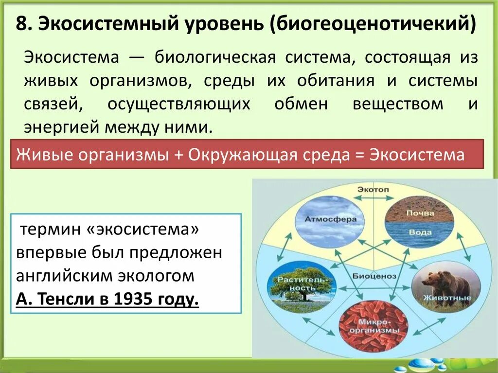 Уровень организмов живой природы. Экосистемы уровни организации живого. Экосистемная организация живой природы. Компоненты экосистем.. Живые системы и экосистемы. Структура экосистемы биология.